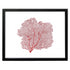 black framed red sea fan wall art landscape